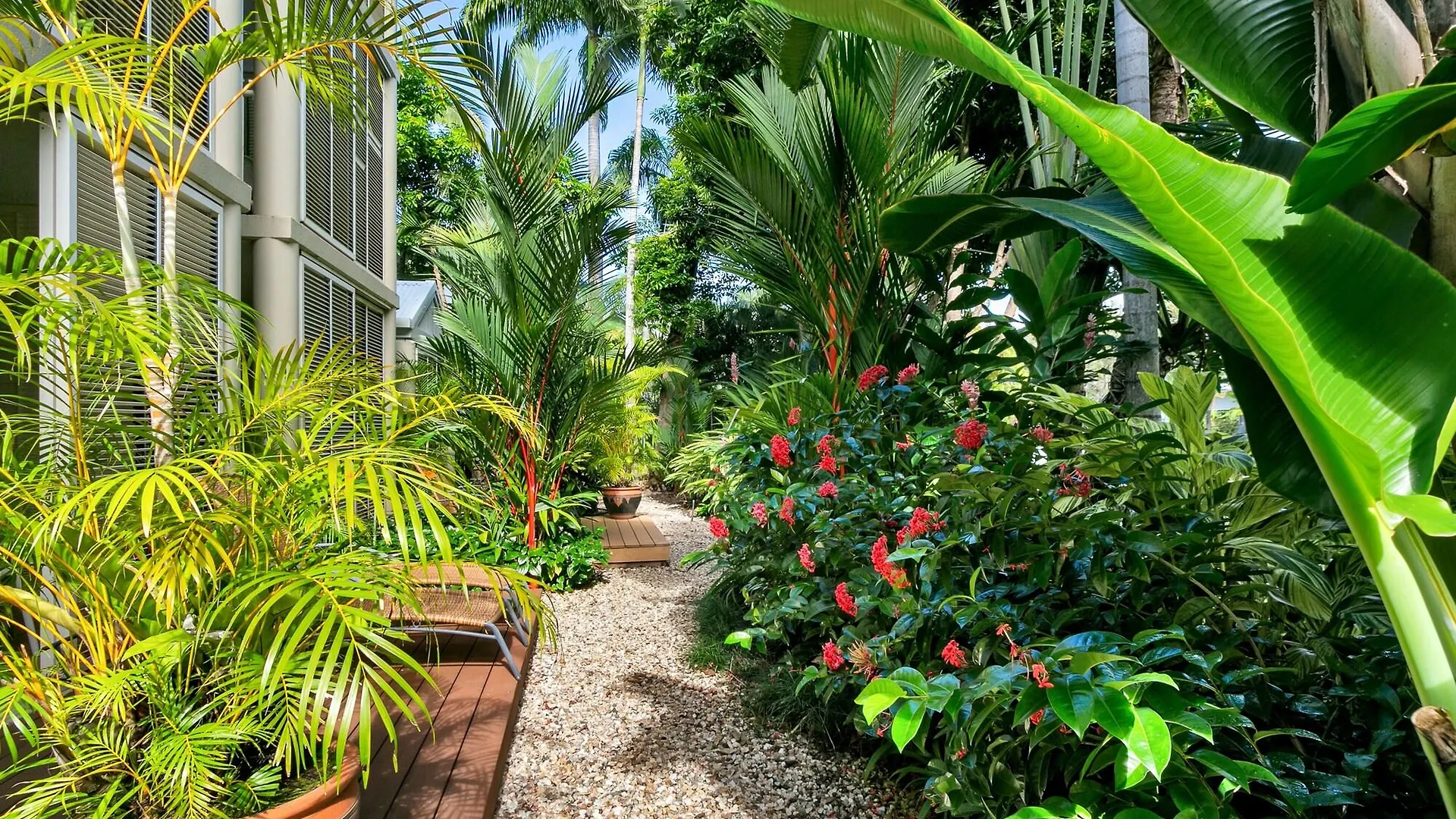 Port Douglas Apartments - Adults Only Oasis Aparthotel